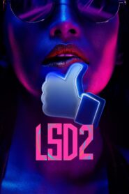 LSD 2 Love, Sex Aur Dhokha 2 (2024)